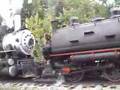 First offical run of #3 Porter steam locomotive WMSTR