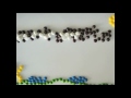 Click here to watch this video Candy Stop Motion Animation