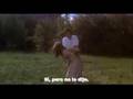  - MovieZen Video