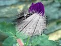 40 Hadis-i Şerif