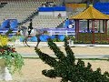 残奥会马术比赛团体(IV)现场(2)