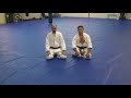 Brazilian Jiu Jitsu Moves - BJJ Turtle Roll Reversal