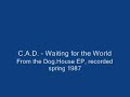 C.A.D. - Waiting for the World (DOG.HOUSE) (tool m