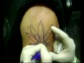 Division 7 Tattoos - 
