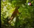 Keris Hitam Bersepuh Emas (Silat in the woods)