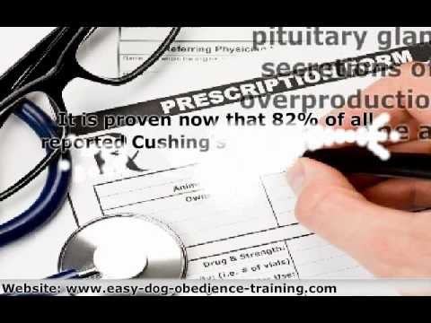 how to treat cushings in dogs