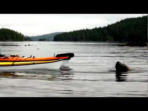TRAK Kayak