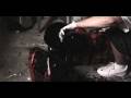 Alchemy: The Making of Oink Ink [Directed by Anton Seim]