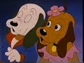 Pound Puppies Wagga Wagga Part 2
