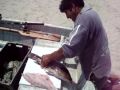 Asociacion Peruana de Pesca Deportiva / Filetaso de Mero por el Capitan cucho