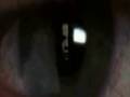 Video screenshot