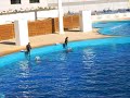 Valencia 08 - Oceanographic