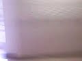 act a fool in spellman hallway