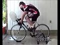 life cycle party