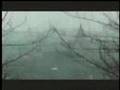 Pete Doherty - Breck Road Lover