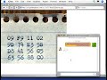 DropBox Ubuntu 8.04.1 Hardy Heron
