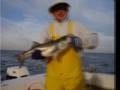 videos de Rockfish Frostbite Challege- Be Amazed