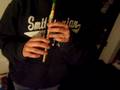 Penny Whistle