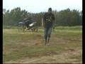 videos de week end cross a landehen 22entre amis