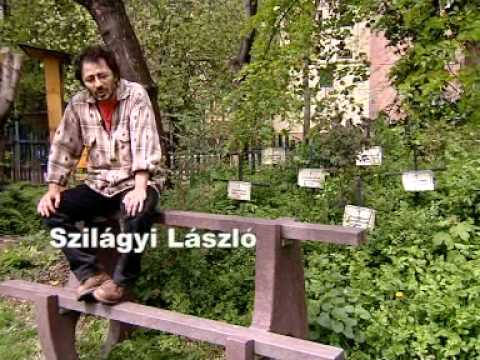 Nézd meg
