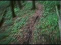 Biessenhofen Bachtelsee Trail