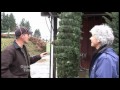 Christmas Trees