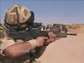 Royal Marine Commandos provide training