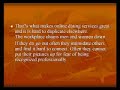 The BEST Survey Results - Online Dating Services That Rank The BEST Survey Results - Online Dating Services That Rank
