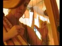 harp http://www.kimrobertson.net/ kim robertson 2008 la crosse irish fest la crosse wisconsin
