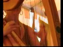 harp http://www.kimrobertson.net/ kim robertson 2008 la crosse irish fest la crosse wisconsin