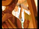 harp http://www.kimrobertson.net/ kim robertson 2008 la crosse irish fest la crosse wisconsin