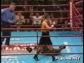 funny boxing knockout