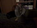1-6-9 standoff