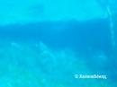 Underwater hersonissos footage