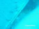 Underwater hersonissos footage