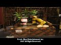 Feng  Shui Fountain