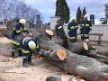 freiwillige-feuerwehr-asparnzaya.html