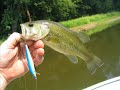 Kankakee Fishing