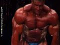 jay-cutler-at-2007-arnold-classic.html
