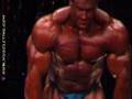 Jay-Cutler