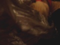 Ferret in a Bag