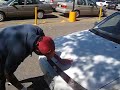 angel-lavando-el-coche-de-martin.html