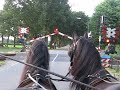 Brave paardjes 16-7-2008.avi Brave paardjes 16-7-2008.avi