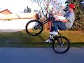 Kats wheelie