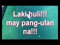 Magdaragat ng Isla Aryam