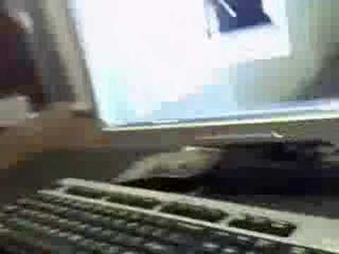 how to leak skype video