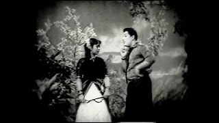 Pattuvanna Chittu Song  Parisu  MGR  Savitri  Ragi