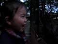 Mishima Taisha funny deer Mishima Taisha funny deer