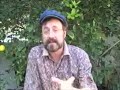 EatTheWeeds: Episode 03: Crepis Japonica, False Hawksbeard EatTheWeeds: Episode 03: Crepis Japonica, False Hawksbeard