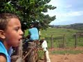 rodeio